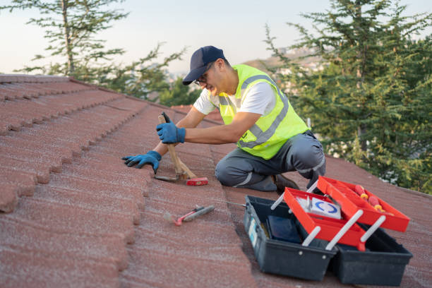 Best Roof Maintenance Services  in Ocean Springs, MS